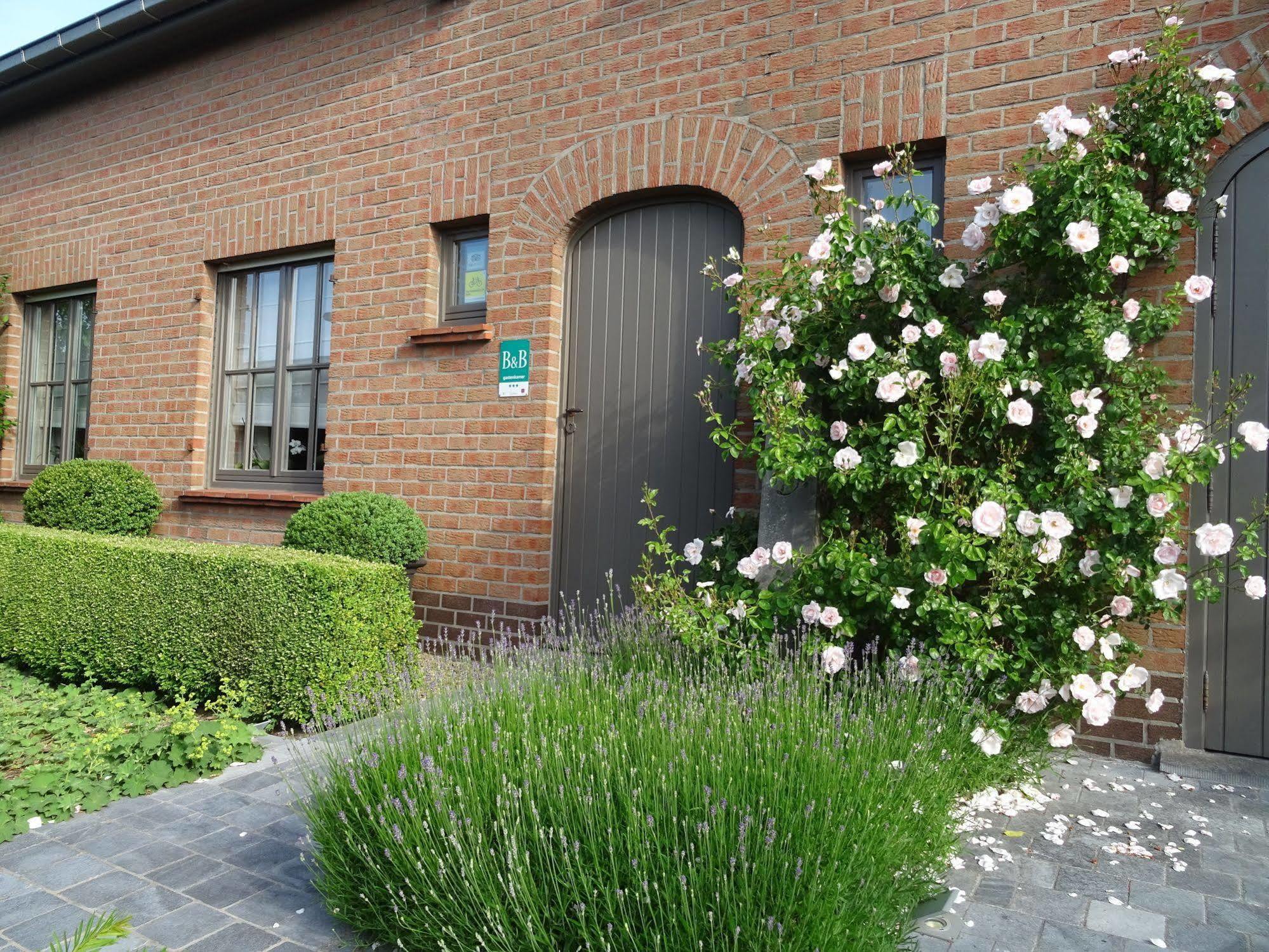 B&B De Passant Jabbeke  Exterior foto